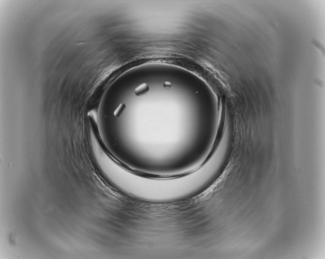 X0000094221449200710261221