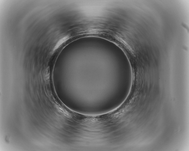 X0000094221450200710261221