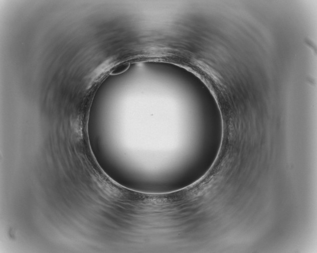 X0000094221451200710261221