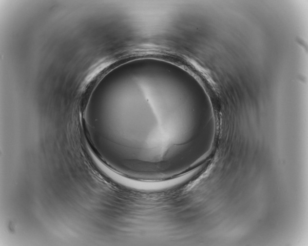X0000094221453200710261221