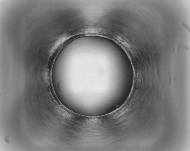 X0000094221454200710261221