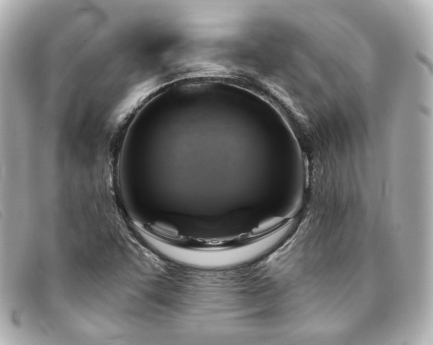 X0000094221455200710261221