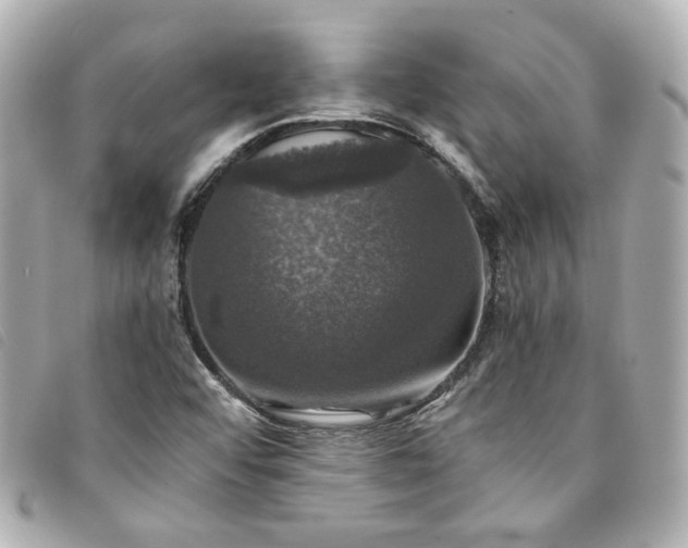 X0000094221456200710261221