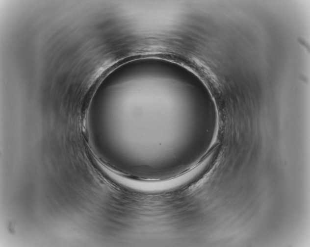 X0000094221457200710261221