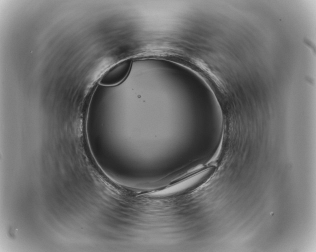 X0000094221459200710261221