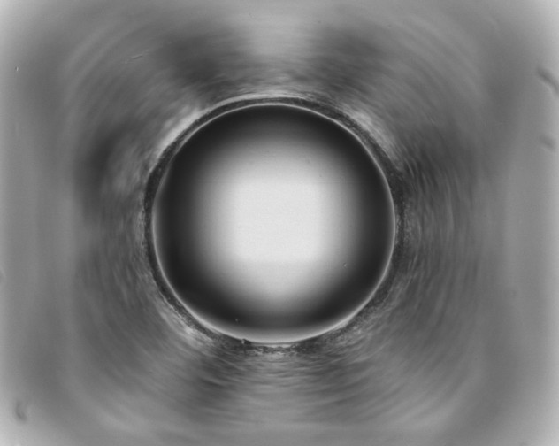 X0000094221460200710261221