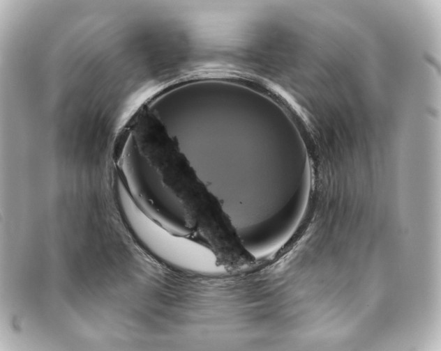 X0000094221461200710261220