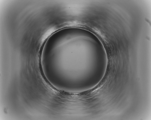 X0000094221463200710261220