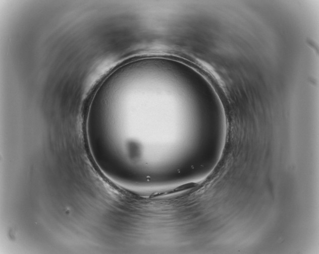 X0000094221464200710261220