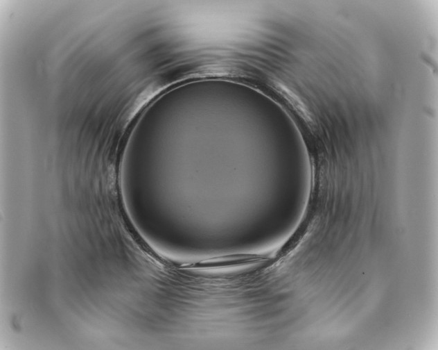 X0000094221465200710261220