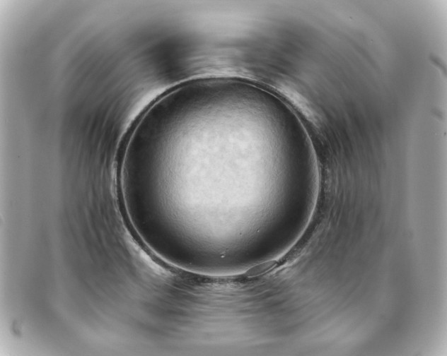 X0000094221468200710261220