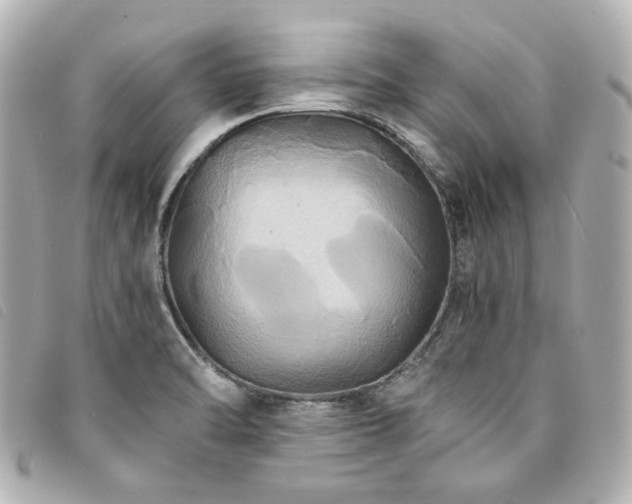 X0000094221470200710261220
