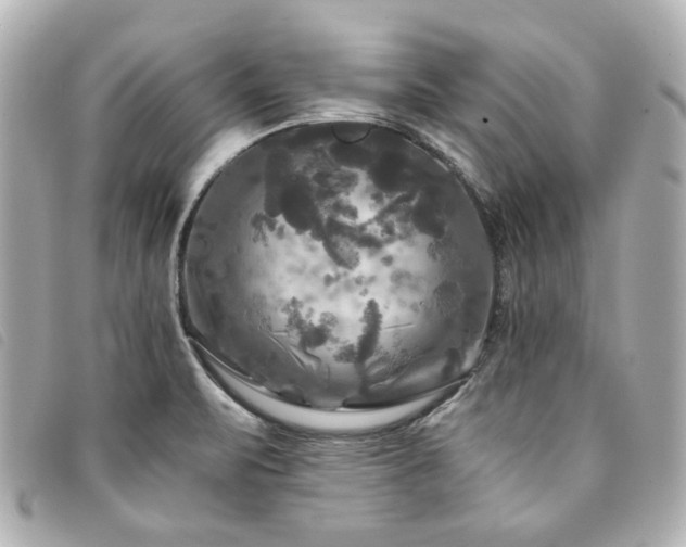 X0000094221471200710261220