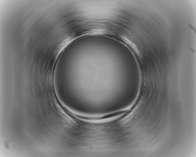 X0000094221473200710261220