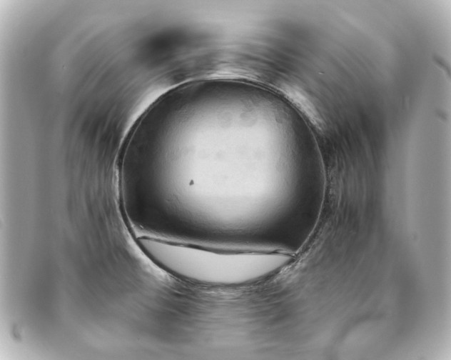 X0000094221476200710261220