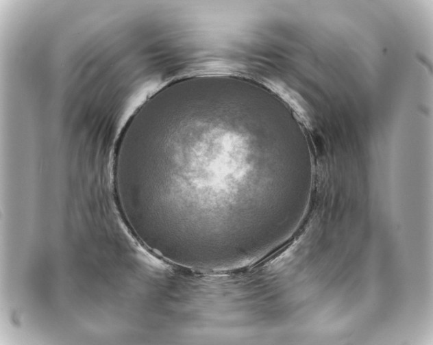 X0000094221477200710261220