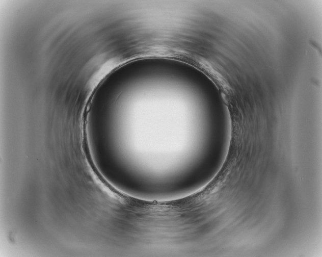 X0000094221479200710261220