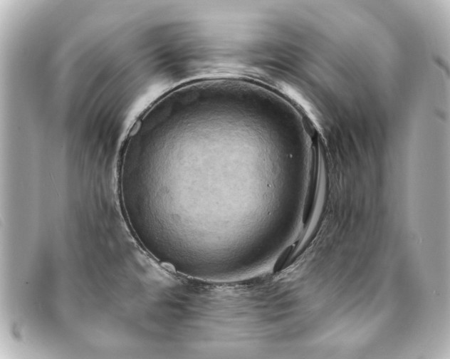 X0000094221480200710261220