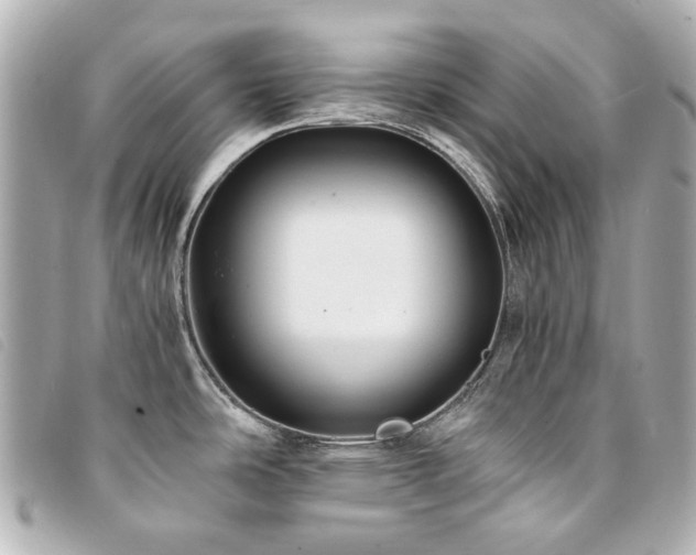 X0000094221486200710261220