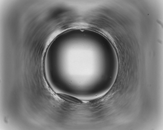 X0000094221488200710261220