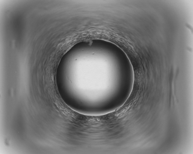 X0000094221489200710261220