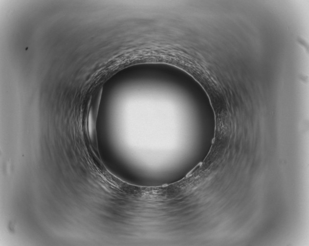 X0000094221490200710261220