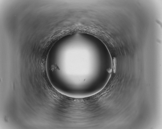 X0000094221491200710261220
