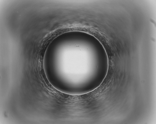 X0000094221493200710261220