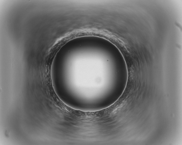X0000094221494200710261220