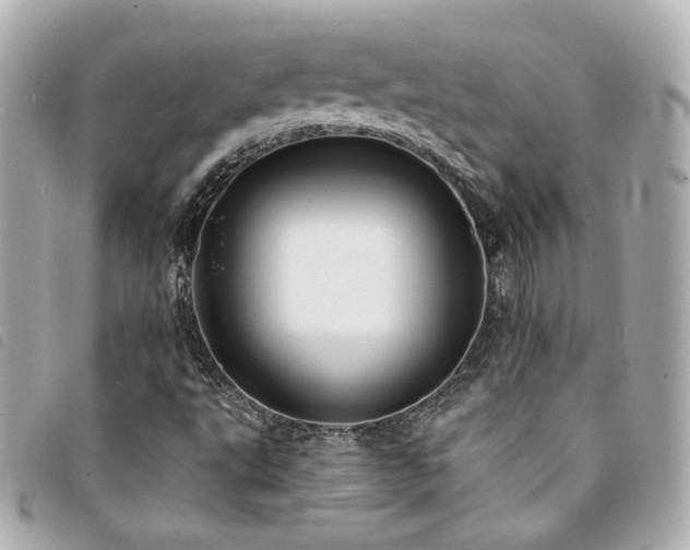 X0000094221495200710261220