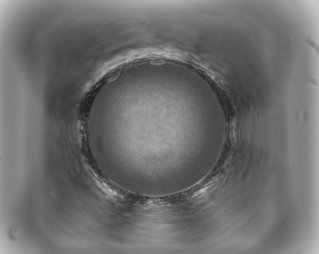 X0000094221496200710261220