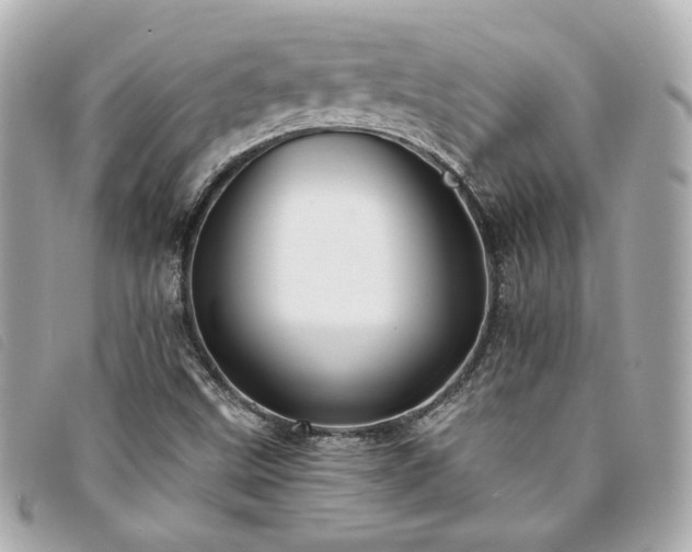 X0000094221499200710261220