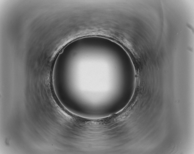 X0000094221500200710261220