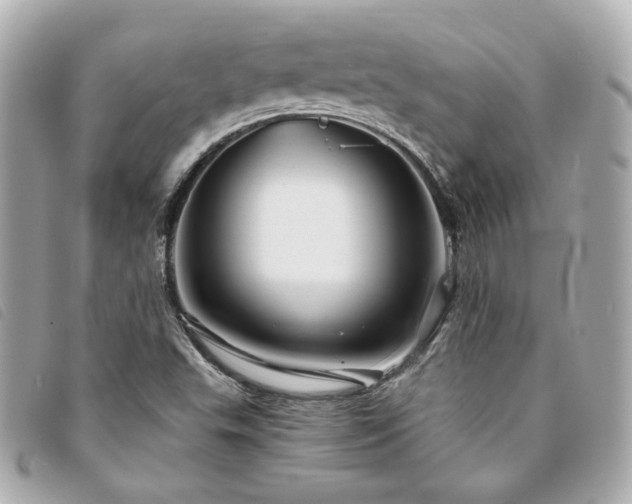 X0000094221503200710261220