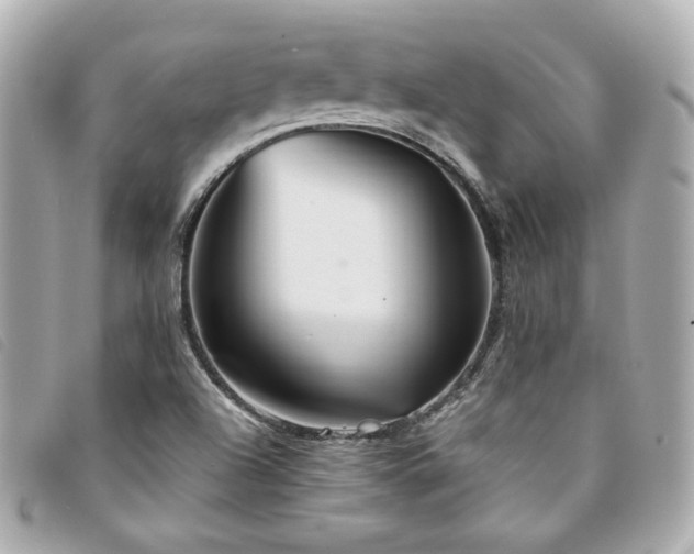 X0000094221504200710261220