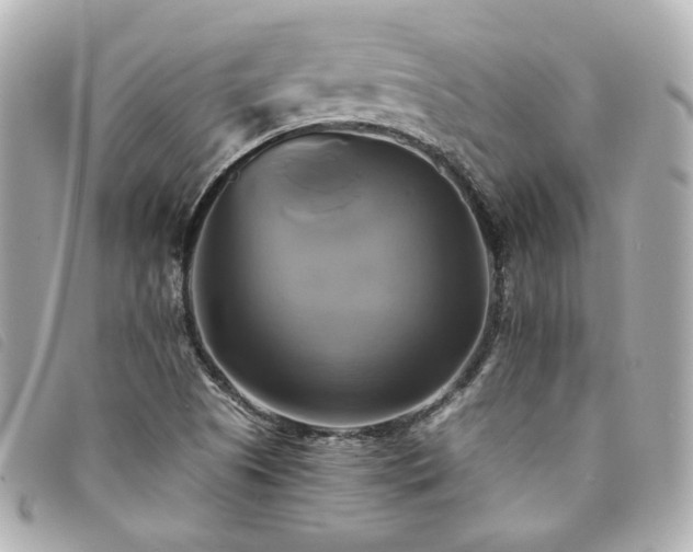 X0000094221505200710261220