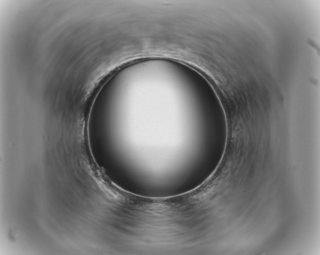 X0000094221507200710261220