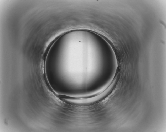 X0000094221510200710261220