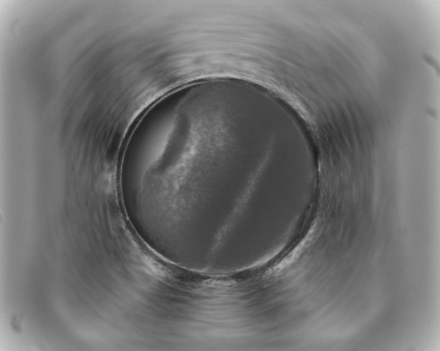 X0000094221513200710261220