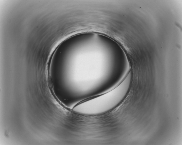X0000094221516200710261220