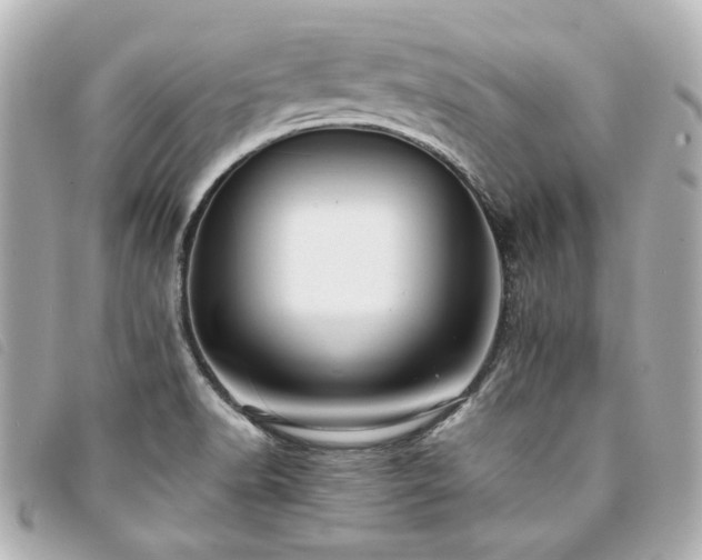 X0000094221518200710261220