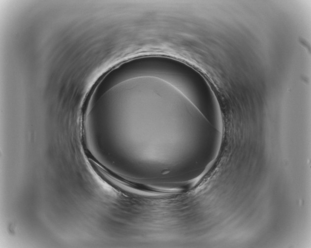 X0000094221519200710261220