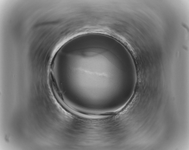 X0000094221520200710261220