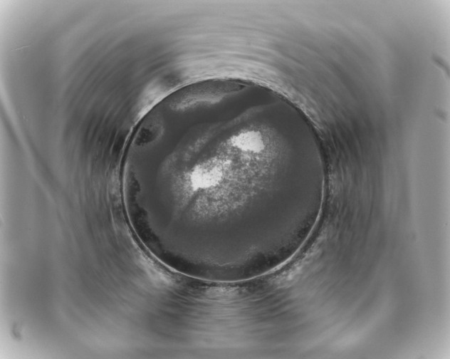 X0000094221521200710261220