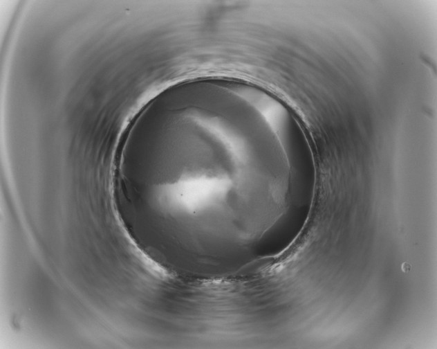 X0000094221525200710261220