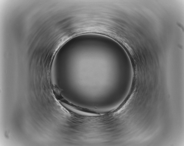 X0000094221529200710261220