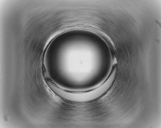 X0000094221530200710261220