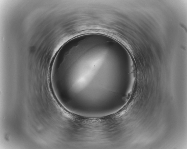 X0000094221533200710261220