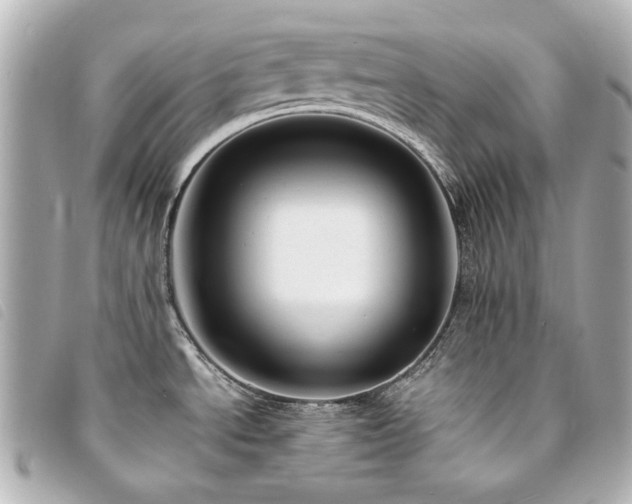 X0000094221534200710261220