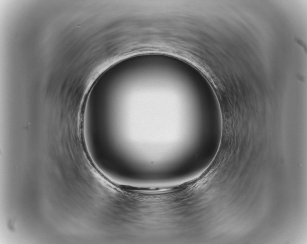 X0000094221535200710261220